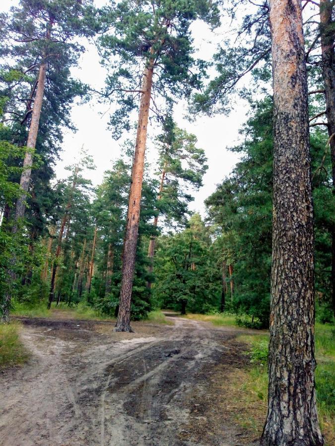 Guest house Kiev forest Eksteriør bilde